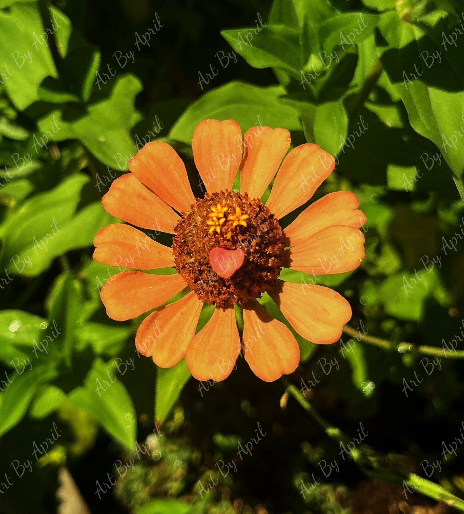 Happy Flower