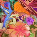 Dance Of The HummingBirds