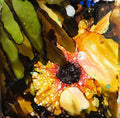 Peeking flower