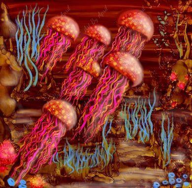Red Jellies Six Pack