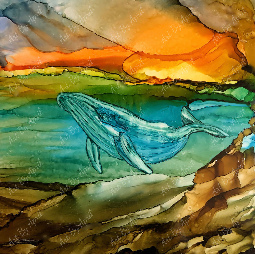 Whale At Sunset