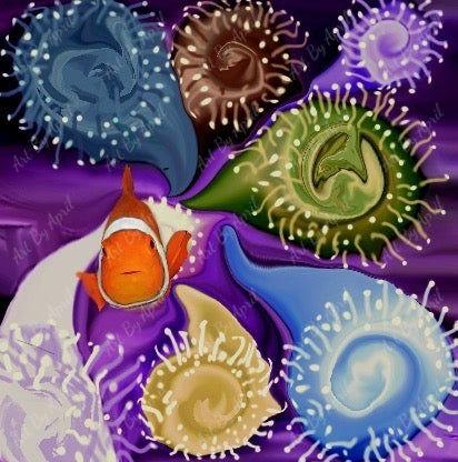 Clown Fish